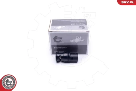 Термостат BMW 3 X3 X5 Z4 SKV GERMANY 20SKV153
