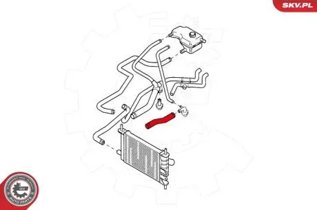 Патрубок інтеркулера FORD Fiesta IV 1.0 1.3 Ka 1.0 SKV GERMANY 24SKV348