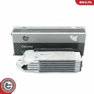 Автозапчасть SKV GERMANY 31SKV209