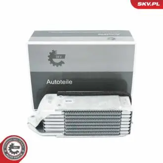 Автозапчасть SKV GERMANY 31SKV210