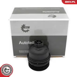 Автозапчасть SKV GERMANY 31SKV262