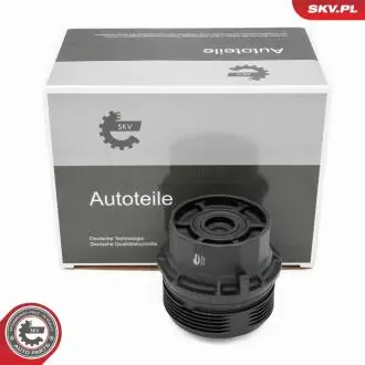 Автозапчасть SKV GERMANY 31SKV395
