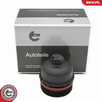 Автозапчасть SKV GERMANY 31SKV399