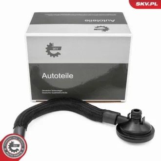 Масловідділювач DACIA Logan Sandero RENAULT Clio II Kangoo Thalia I II SKV GERMANY 31SKV420