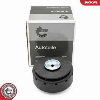 Масловідділювач MERCEDES-BENZ CLS CLK GLC GLE GLS C E G M R SL SLK SKV GERMANY 31SKV421