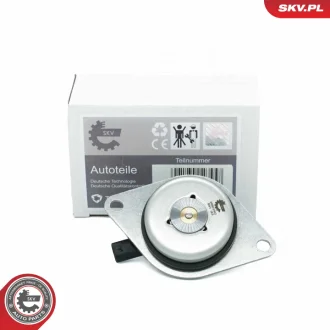 Центральний магніт, шестерня приводу розподільного валу CHEVROLET Aveo Cruze OPEL Astra J Cascada Corsa D E Insignia SKV GERMANY 39SKV902