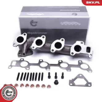 Впускний колектор MERCEDES CLK C-klasa Sprinter Viano Vito SKV GERMANY 49SKV072