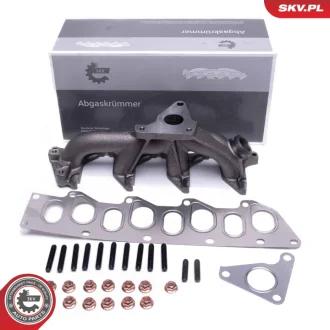 Впускний колектор NISSAN Interstar Primastar OPEL Movano RENAULT Espace IV SKV GERMANY 49SKV073