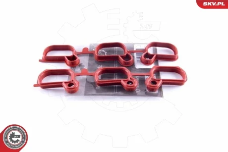 Ремонтний комплект BMW M52 M54-3 E46 5 E39 E60 E61 7 E38 X3 E83 X5 E53 Z3 E36 Z4 E85 SKV GERMANY 49SKV651