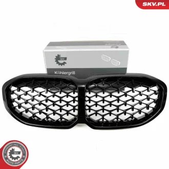 Решітка радіатора BMW 1 F40 SKV GERMANY 66SKV027