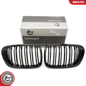 Решітка радіатора BMW 3 E46 Coupe SKV GERMANY 66SKV059