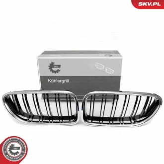 Решітка радіатора BMW 6 F06/F12 SKV GERMANY 66SKV208