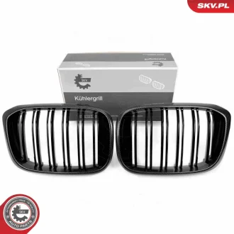 Решітка радіатора BMW X3 G01 SKV GERMANY 66SKV264