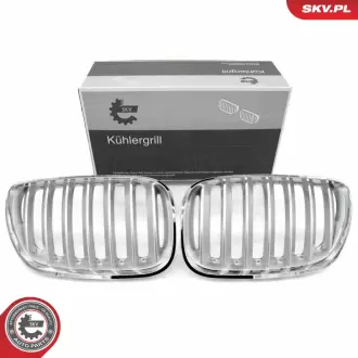 Комплект решіток радіатора, BMW X5 E53 Facelift SKV GERMANY 66SKV279