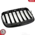 Решітка радіатора BMW X5 E70 SKV GERMANY 66SKV284 (фото 6)