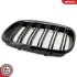 Решітка радіатора BMW X5 E70 SKV GERMANY 66SKV287 (фото 7)