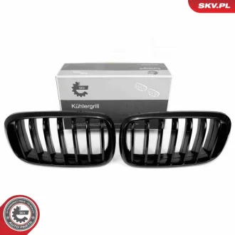 Решітка радіатора BMW X5 F15 SKV GERMANY 66SKV294