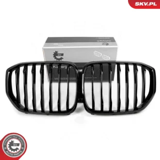 Решітка радіатора BMW X5 G05 SKV GERMANY 66SKV300