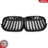Решітка радіатора BMW X7 G07 SKV GERMANY 66SKV314 (фото 4)
