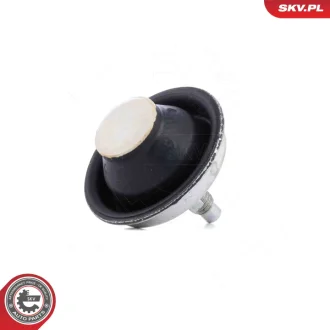 Підвіска двигуна PEUGEOT 206 SKV GERMANY 75SKV101