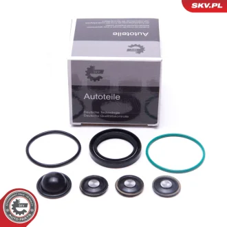 Ремкомплект паливного насосу SKV GERMANY 96SKV933