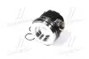Поршень с кольцами VAG 81,01 2,0TDI 16V CAGA,CAGB,CAGC,CAHA,CAHB,CBAA,CBAB,CBBB,CBDA,CBDB,CBDC- SM MVI 805027-00-1 (фото 2)