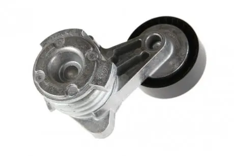 Натяжник ремня генератора BMW 1 (E81)/3 (E90)/5 (E60)/X3 (E83)/X5 (E70) 2.5-3.0 03- SNR SNR NTN GA350.57