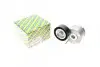 Натяжник ремня генератора Citroen Nemo/Fiat Fiorino/Peugeot Bipper/Opel Combo 1.3JTD 10- SNR SNR NTN GA358.19 (фото 1)