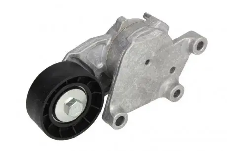 Натяжник ремня генератора Citroen/Peugeot/Ford 1.4HDi/1.6TDCi 01- SNR SNR NTN GA359.00