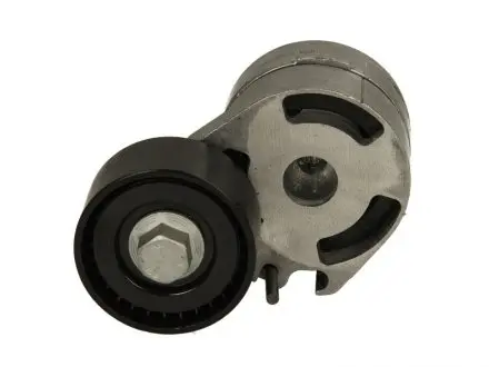 Натяжник ремня генератора Citroen Berlingo/Peugeot Partner 1.6HDi 06- (53x25) SNR SNR NTN GA359.11