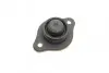 Подушка амортизатора (заднього) Chevrolet Aveo 1.2/1.4 03- SNR SNR NTN KB990.01 (фото 5)