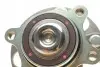 Подшипник ступицы (задней) Honda Civic VIII 1.3/1.8 05- SNR SNR NTN R174.72 (фото 2)