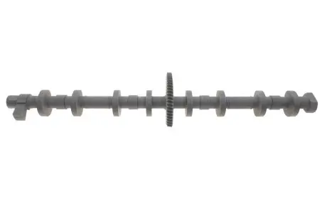 Вал ексцентриковий BMW 5 (F10) (N20) 12-16 Solgy 106005