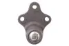 Опора шаровая (передняя/снизу)) Citroen Berlingo/Peugeot Partner 1.8i/1.9D 96-08 Solgy 203019 (фото 3)