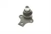Опора шаровая (передняя/снизу)) VW Caddy II 1.4/1.9TDI 95-01 (d=19mm) Solgy 203051 (фото 1)