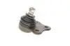 Опора шаровая (передняя/снизу)) Ford Fiesta/Fusion 1.2-1.6 01-12 Solgy 203090 (фото 4)