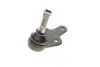 Опора шаровая (передняя/снизу)) Ford Focus II 1.4-2.0TDCi 04-12/C-Max 07-10/Volvo C30/C70/S40 -02/06 Solgy 203091 (фото 8)