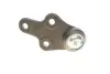 Опора шаровая (передняя/снизу)) Ford Focus II 1.4-2.0TDCi 04-12/C-Max 07-10/Volvo C30/C70/S40 -02/06 Solgy 203091 (фото 9)