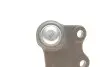 Опора шаровая (передняя/снизу)/R) Audi A1 10-/Seat Ibiza 02-15/Skoda Fabia 99-14/Rapid 12-/VW Polo 01 Solgy 203120 (фото 3)