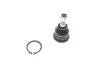 Опора шаровая (передняя) Hyundai Accent I/II 94-05/ Elantra 00-06/ Kia Cerato 04-/ Rio 11- Solgy 203142 (фото 1)