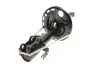 Амортизатор (передний) Toyota RAV4 06- (L) Solgy 211185 (фото 1)