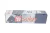 Амортизатор (передний) Ford Fiesta 01-08 (R) Solgy 211211 (фото 3)