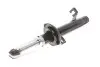 Амортизатор (передний) Ford Fiesta 01-08 (R) Solgy 211211 (фото 6)