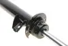Амортизатор (передний) BMW 3 (E90/E91/E92/E93) 05-13 (L) M47/N43/N45/N46/N47/N52 Solgy 211239 (фото 5)