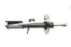 Амортизатор (передний) BMW X5 (E53) 00- (L) M54/M57/M62/N62 Solgy 211279 (фото 4)