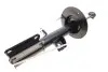 Амортизатор (передний) BMW X5 (E53) 00- (R) M54/M57/M62/N62 Solgy 211280 (фото 1)