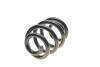 Пружина (задня) VW T5/T6/Multivan V/VI 1.9-2.0TDI/2.5TDI/3.2 V6 03- (фургон/з борт.пл) Solgy 212054 (фото 1)