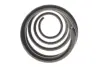 Пружина (передняя) Renault Scenic III/Grand Scenic III 1.5dCi/1.6dCi/1.9dCi/2.0 16V 09- (вэн) Solgy 212151 (фото 2)