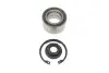 Подшипник ступицы (передней) Ford Fiesta -08 (39x72.05x37) (+ABS) (к-кт) Solgy 216145 (фото 1)