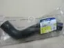Патрубок радиатора нижний New Actyon (выр-во) SSANGYONG 2142134020 (фото 1)